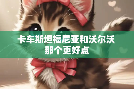 卡车斯坦福尼亚和沃尔沃 那个更好点