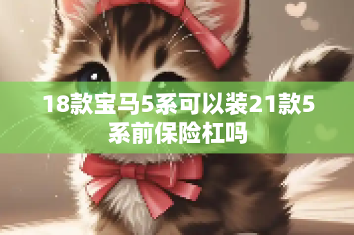 18款宝马5系可以装21款5系前保险杠吗