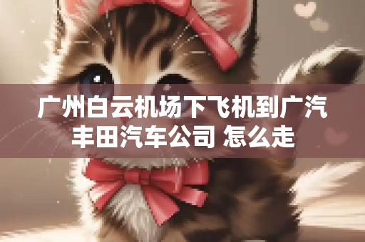 广州白云机场下飞机到广汽丰田汽车公司 怎么走