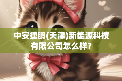 中安捷鹏(天津)新能源科技有限公司怎么样？