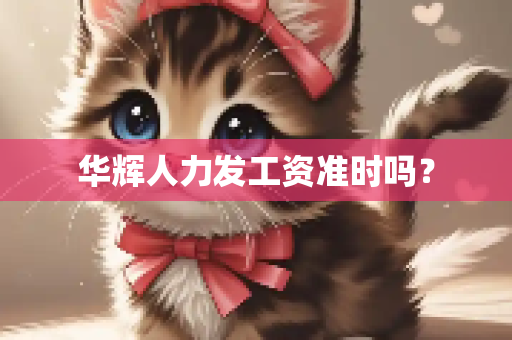 华辉人力发工资准时吗？