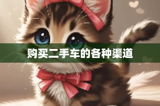 购买二手车的各种渠道