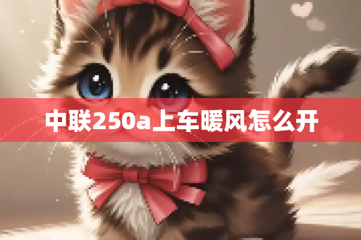 中联250a上车暖风怎么开