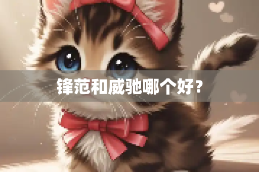 锋范和威驰哪个好？