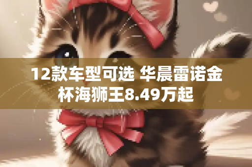 12款车型可选 华晨雷诺金杯海狮王8.49万起