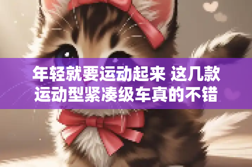 年轻就要运动起来 这几款运动型紧凑级车真的不错