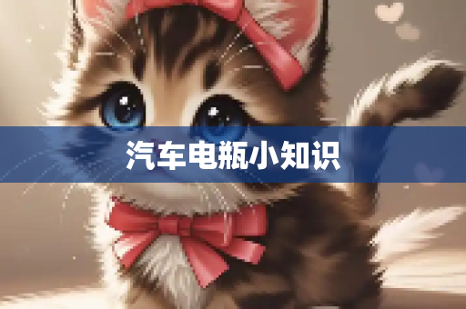 汽车电瓶小知识