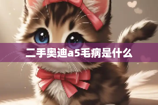 二手奥迪a5毛病是什么
