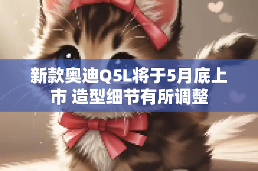 新款奥迪Q5L将于5月底上市 造型细节有所调整