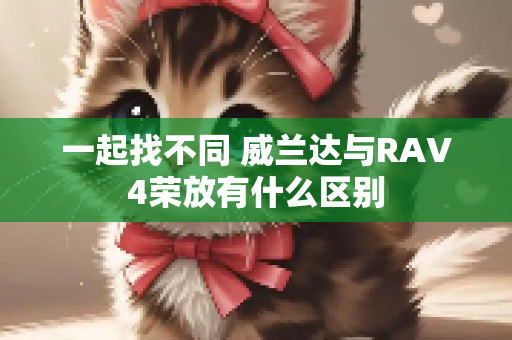 一起找不同 威兰达与RAV4荣放有什么区别