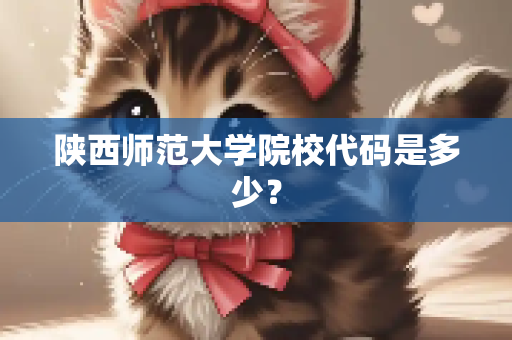 陕西师范大学院校代码是多少？