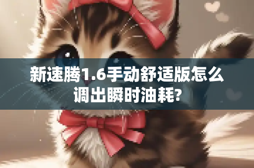 新速腾1.6手动舒适版怎么调出瞬时油耗?