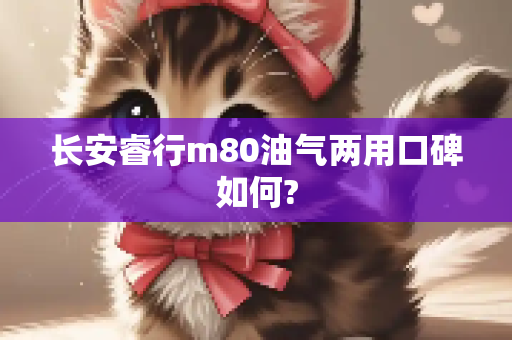 长安睿行m80油气两用口碑如何?