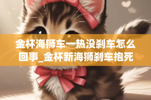 金杯海狮车一热没刹车怎么回事_金杯新海狮刹车抱死