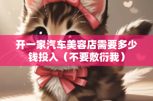 开一家汽车美容店需要多少钱投入（不要敷衍我）