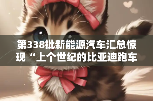 第338批新能源汽车汇总惊现“上个世纪的比亚迪跑车”？
