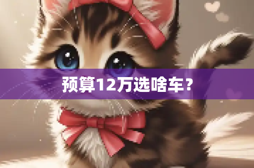 预算12万选啥车？