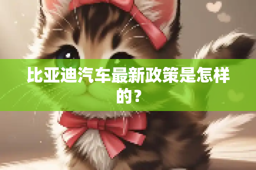 比亚迪汽车最新政策是怎样的？