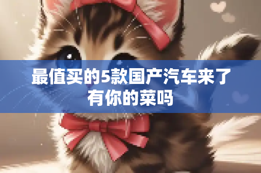 最值买的5款国产汽车来了有你的菜吗