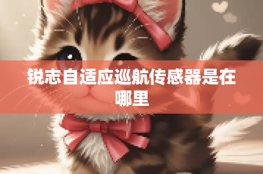 锐志自适应巡航传感器是在哪里