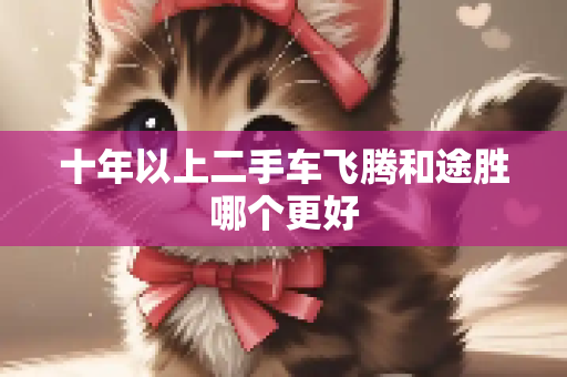 十年以上二手车飞腾和途胜哪个更好