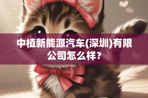 中植新能源汽车(深圳)有限公司怎么样？