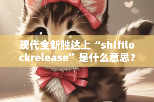 现代全新胜达上“shlftlockrelease”是什么意思？