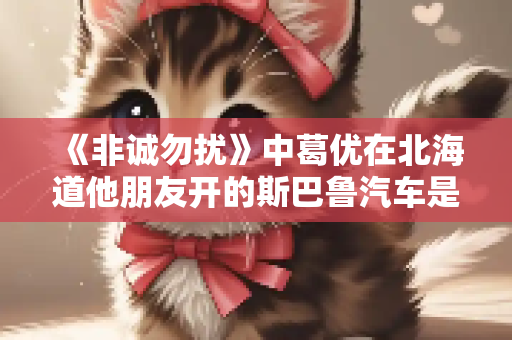 《非诚勿扰》中葛优在北海道他朋友开的斯巴鲁汽车是什么型号