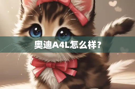 奥迪A4L怎么样？