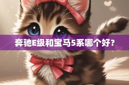 奔驰E级和宝马5系哪个好？