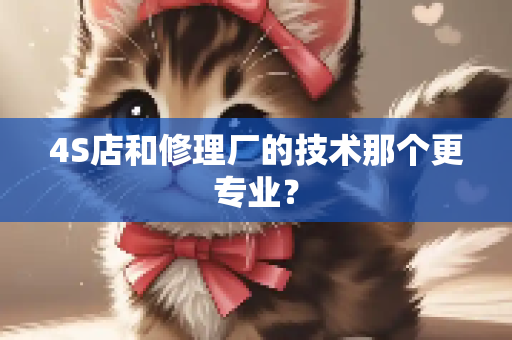 4S店和修理厂的技术那个更专业？