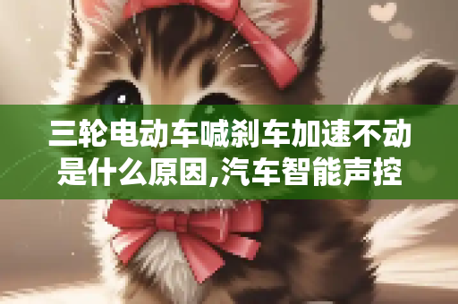 三轮电动车喊刹车加速不动是什么原因,汽车智能声控刹车系统故障