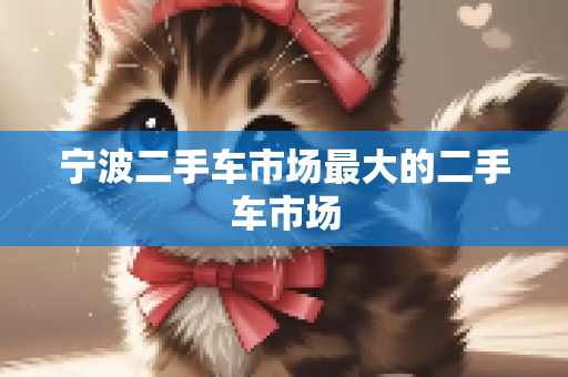 宁波二手车市场最大的二手车市场