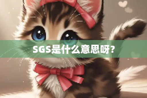SGS是什么意思呀？
