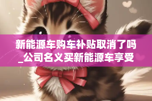 新能源车购车补贴取消了吗_公司名义买新能源车享受地方补贴吗