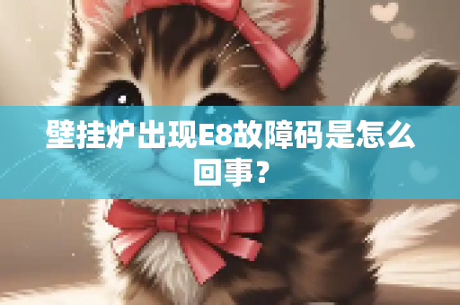 壁挂炉出现E8故障码是怎么回事？