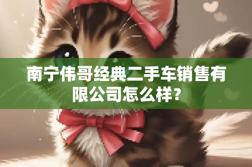 南宁伟哥经典二手车销售有限公司怎么样？