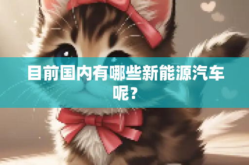 目前国内有哪些新能源汽车呢？