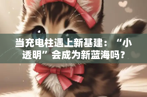 当充电柱遇上新基建：“小透明”会成为新蓝海吗？