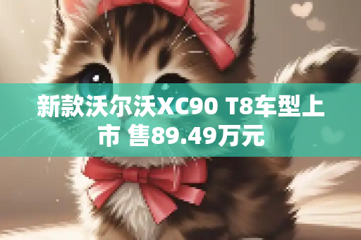 新款沃尔沃XC90 T8车型上市 售89.49万元