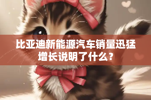 比亚迪新能源汽车销量迅猛增长说明了什么？