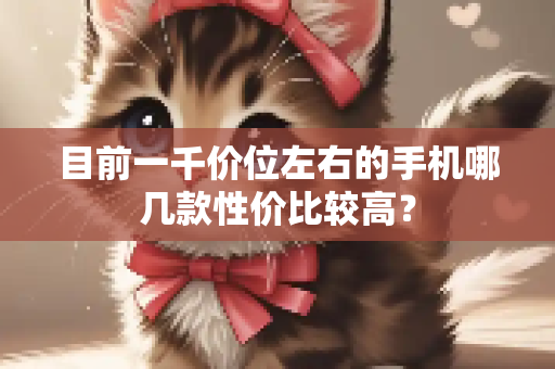 目前一千价位左右的手机哪几款性价比较高？