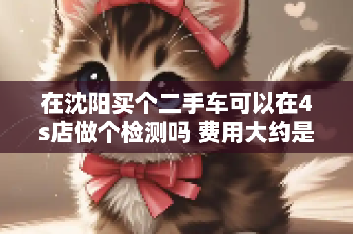 在沈阳买个二手车可以在4s店做个检测吗 费用大约是多少呢