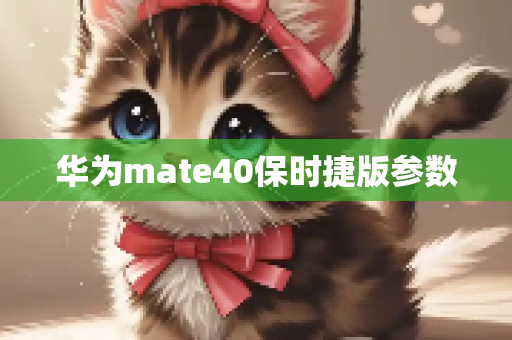 华为mate40保时捷版参数