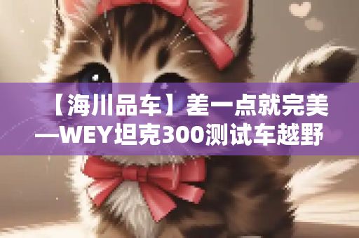 【海川品车】差一点就完美—WEY坦克300测试车越野初体验