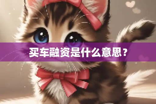 买车融资是什么意思？