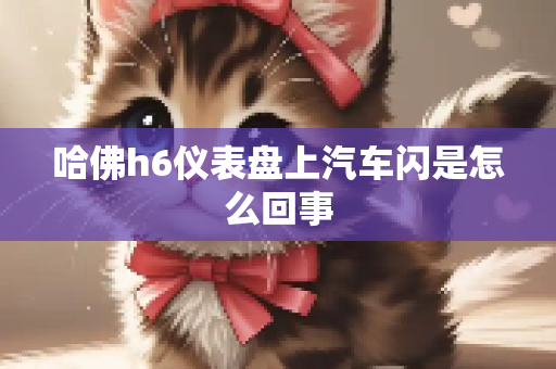 哈佛h6仪表盘上汽车闪是怎么回事