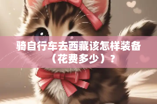 骑自行车去西藏该怎样装备（花费多少）？