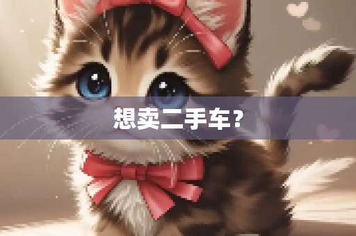想卖二手车？