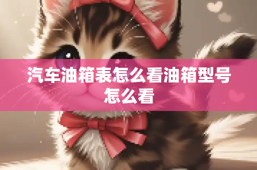 汽车油箱表怎么看油箱型号怎么看
